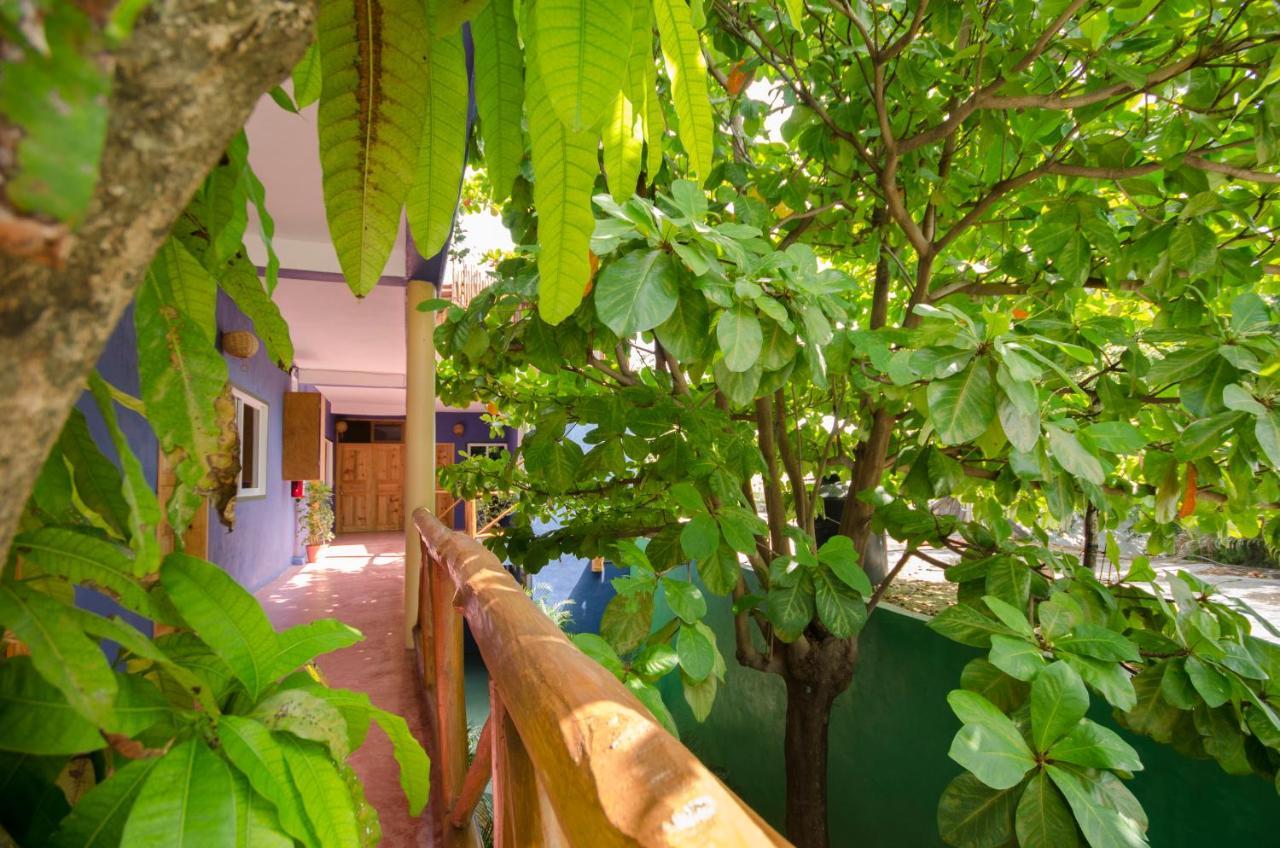 Casa Almendro 호텔 툴룸 외부 사진