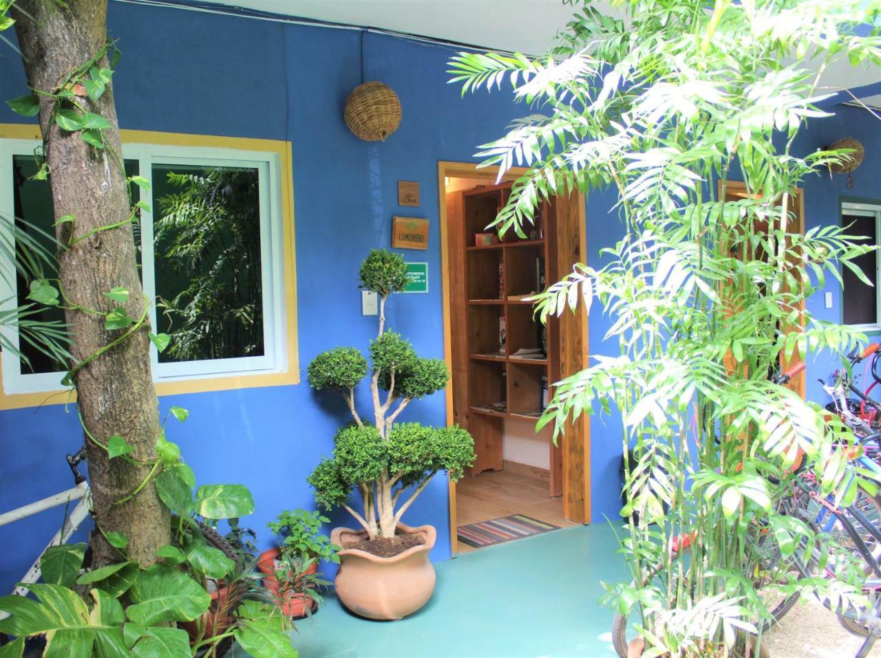 Casa Almendro 호텔 툴룸 외부 사진